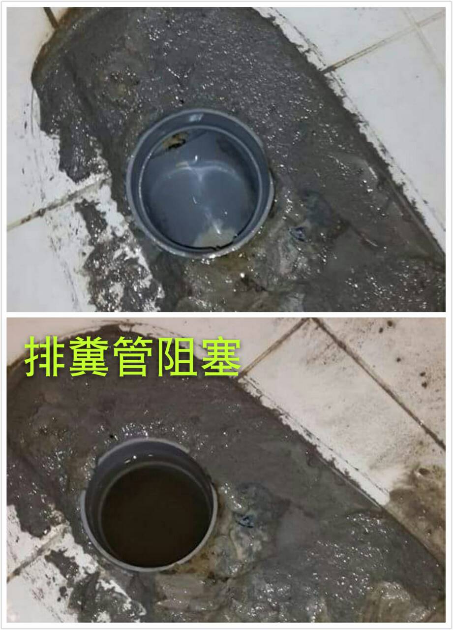 排糞管阻塞
